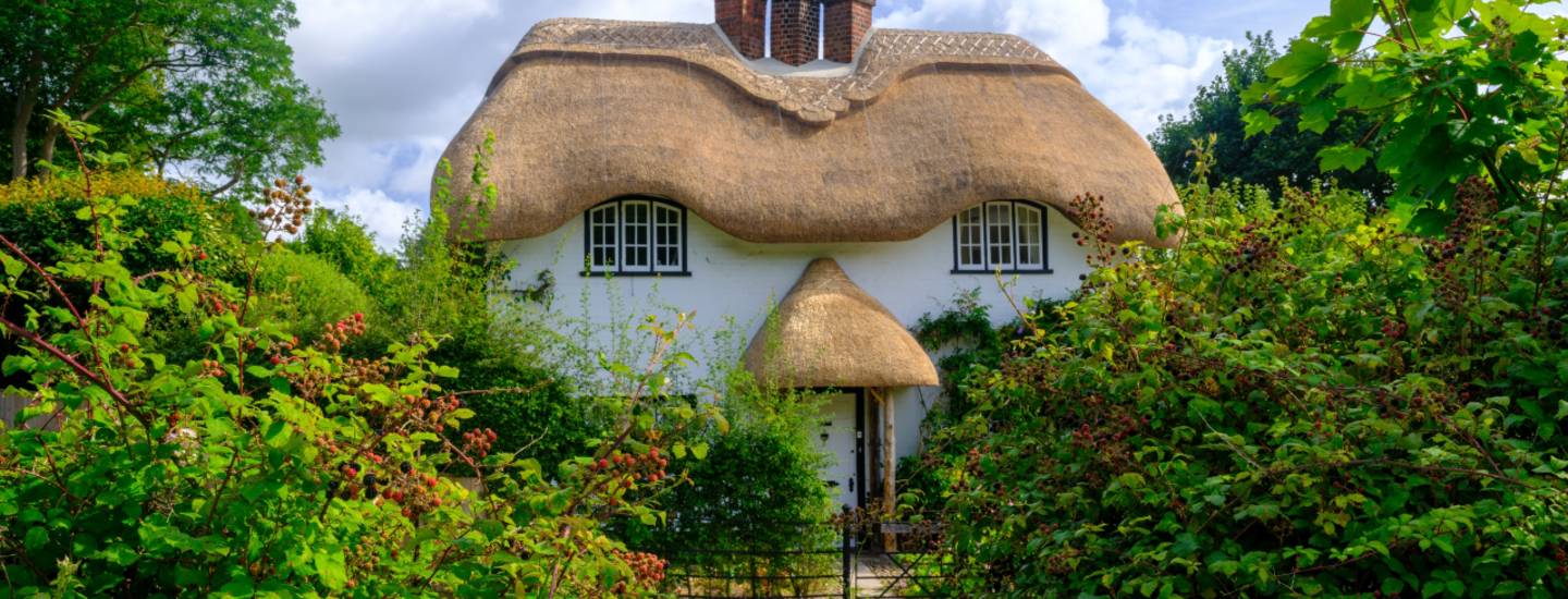 hampshire beehive cottage near emery down