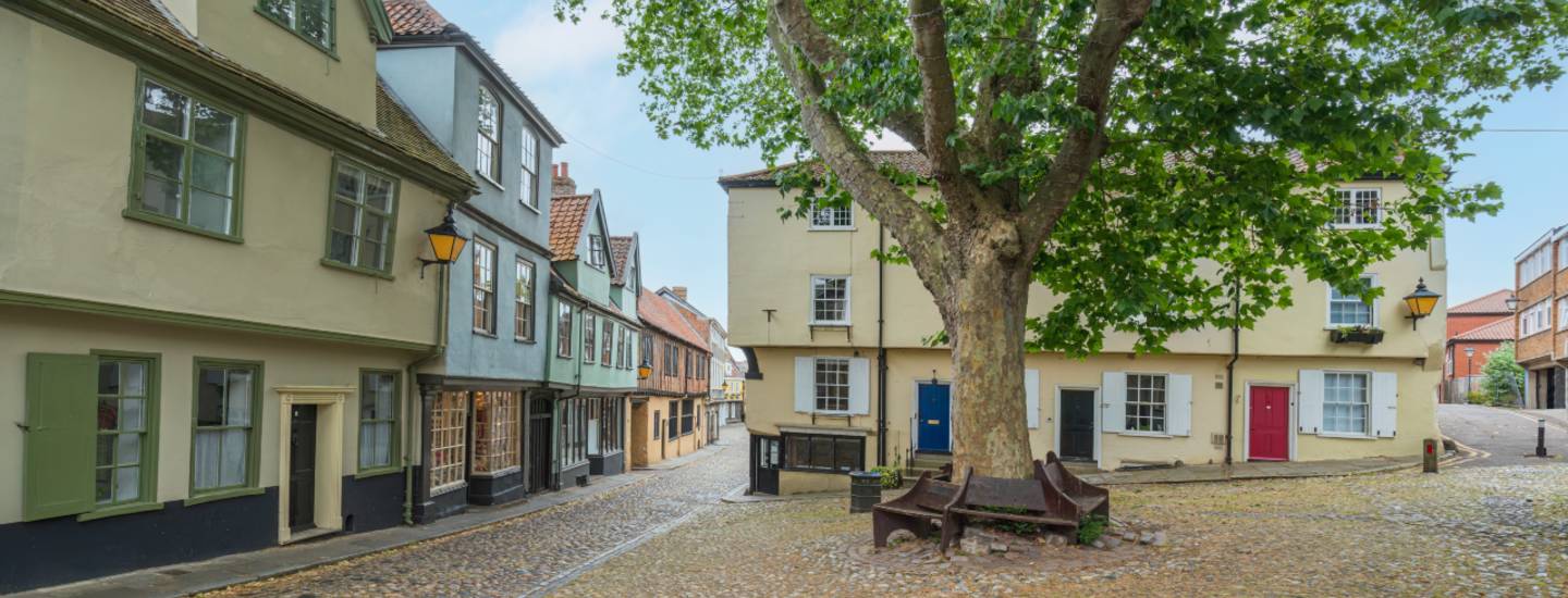 norwich elm hill